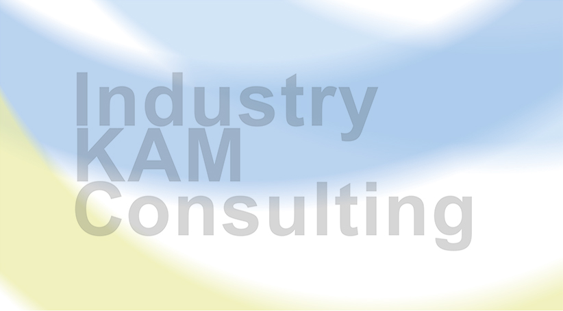 Industry KAM Consulting